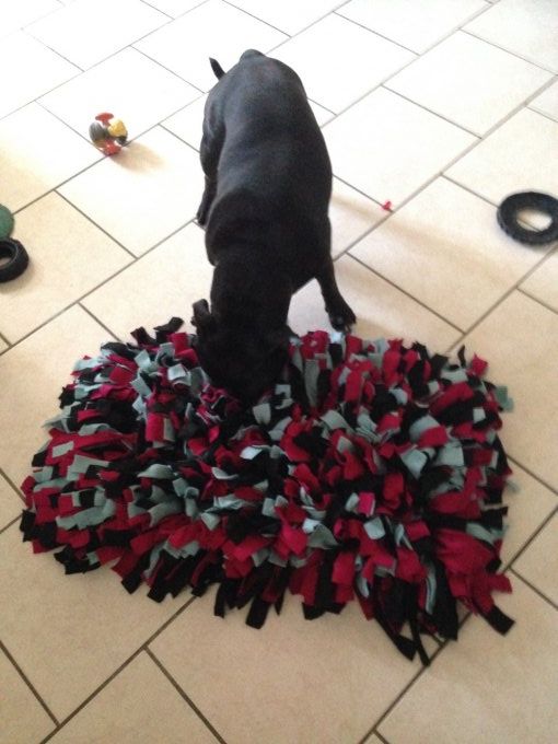 Snuffle Mat